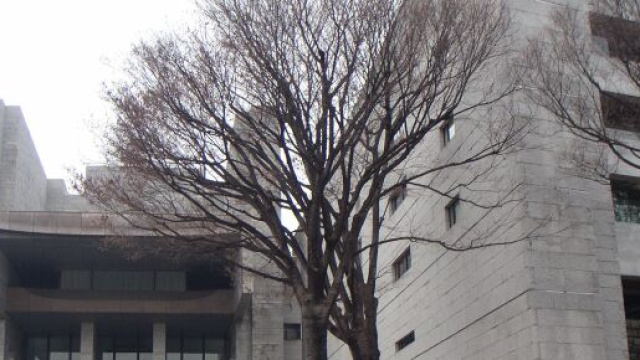 Giappone, pena capitale per il killer di Twitter: uccise 9 persone conosciute sui social