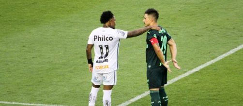 Santos e Palmeiras s&atilde;o os &uacute;nicos representantes do futebol brasileiro na Libertadores. (Arquivo Blasting News)