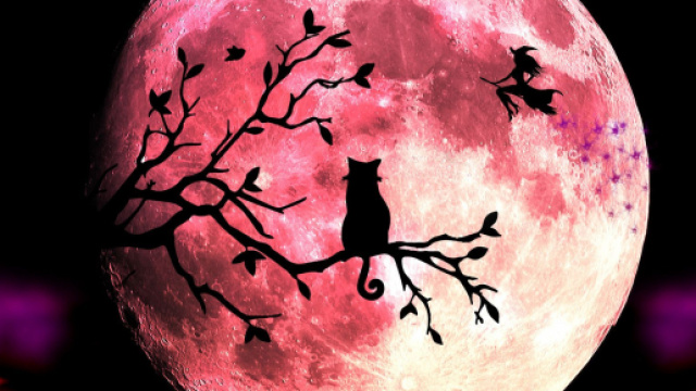 L'oroscopo di domani 22 dicembre: la Luna entra in Ariete, ottimo il Cancro (1^ met&agrave;).
