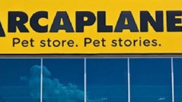 Nuove assunzioni per addetti vendita in Arcaplanet.