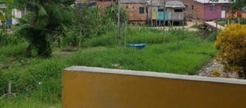 Homem que jogou crian&ccedil;a de 2 meses em igarap&eacute; tem pris&atilde;o decretada. (Divulga&ccedil;&atilde;o/Corpo de Bombeiros)