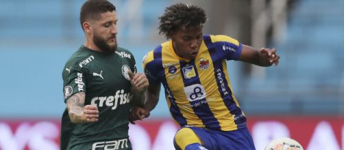 Palmeiras joga nesta quarta-feira (2) em busca da classifica&ccedil;&atilde;o. (Arquivo Blasting News)