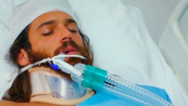 DayDreamer: Can perde la memoria.