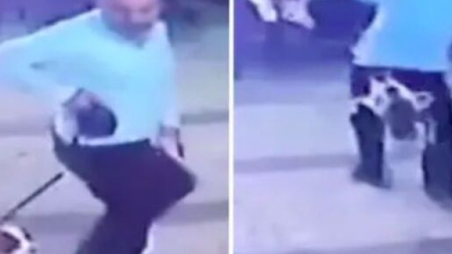 Capture d'&eacute;cran, source : Dailymotion