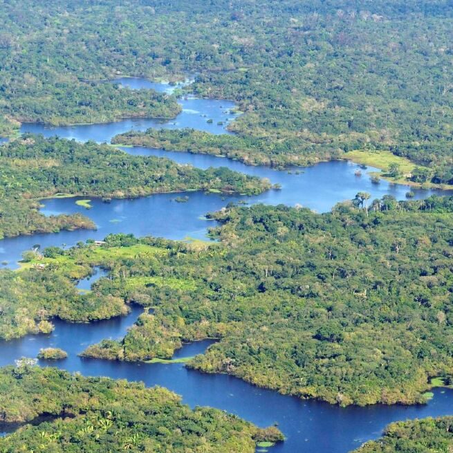Aerial view of the Amazon Rainforest (Neil Palmer/CIAT/Flickr)