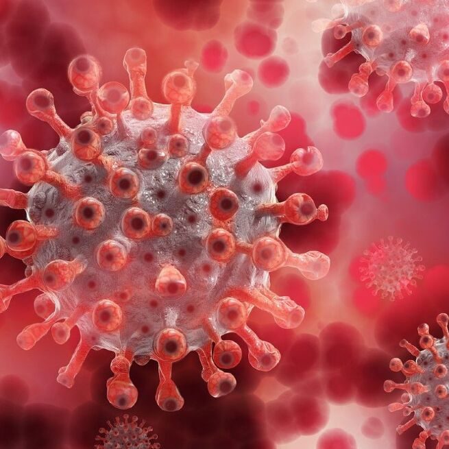 Alega&ccedil;&atilde;o falsa diz que m&eacute;dicos descobriram que Covid-19 &eacute; causada por bact&eacute;rias (Reprodu&ccedil;&atilde;o/Pixabay)