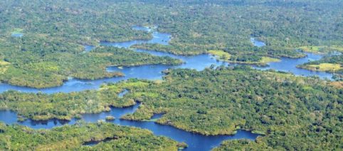 Não estamos longe de atingir um ponto de não retorno na Amazônia, diz Carlos Nobre