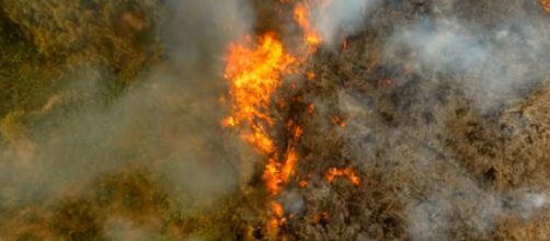 What if we lost the Amazon rainforest? [Image source/What if YouTube video]