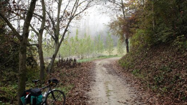 Asti, ex modella scomparsa nel settembre 2001: i suoi resti rinvenuti vicino casa