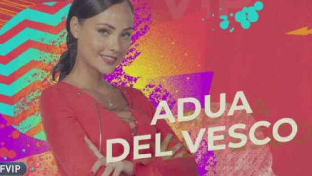 Grande Fratello Vip: Rosalinda sarebbe salva grazie ai voti giunti dal Brasile.