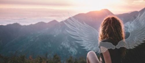 Cada signo tem um animal espiritual. Cr&eacute;ditos: www.metrojornal.com.br/