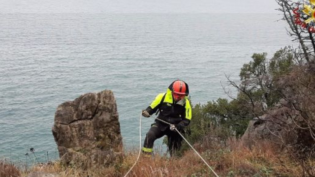 Trieste, scomparsa Marina Buttazzoni: ritrovato in mare il corpo dell'artigiana di Udine