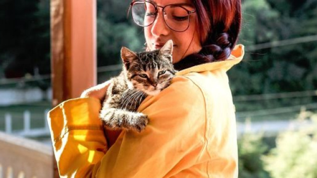 25% des fran&ccedil;ais aimeraient passer la saint valentin avec leur chat