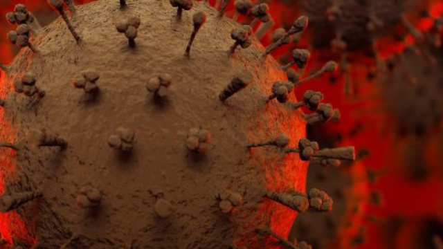 In Brasile &egrave; stato scoperto un nuovo virus chiamato Yaravirus: il 90% del suo genoma &egrave; sconosciuto all'uomo.
