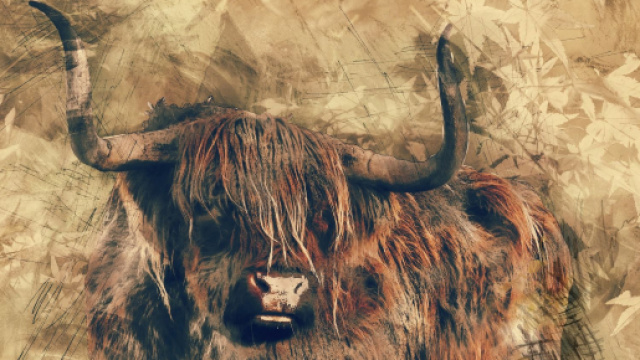 Previsioni astrologiche, classifica dal 17 al 23 febbraio: settimana top per il Toro.