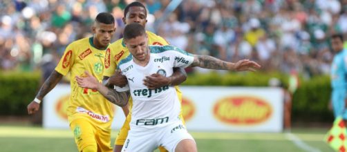 Com novo gramado sint&eacute;tico, Palmeiras joga contra o Mirassol no Allianz Parque. (Fonte: Blasting News)