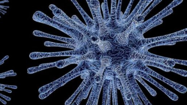 Il coronavirus arriva anche in Friuli-Venezia Giulia, ma il "paziente zero" &egrave; gi&agrave; stato isolato e non versa in gravi condizioni.