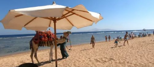 Amazing Sharm El-Sheikh beach and tourists. [Image source/settime2588 YouTube video]