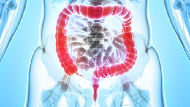 Studio britannico scopre la voce dei tumori.