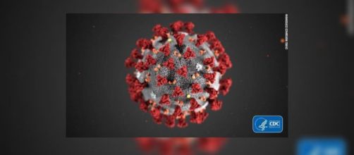 Coronavirus: a&uacute;n se desconocen que animal pudo haber sido el causante del brote y cuanto tiempo de vida puede resistir