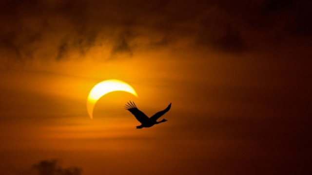 Oroscopo del giorno 26 febbraio 2020 | Astrologia, classifica stelline e previsioni: segno al 'top' Bilancia