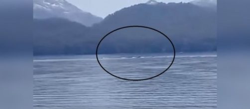 Misteriosa Criatura observado en Argentina, en el famoso lago Nahuel Huapi.