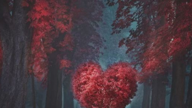 L'oroscopo del 3 febbraio: problemi d'amore per Sagittario, Pesci in conflitto