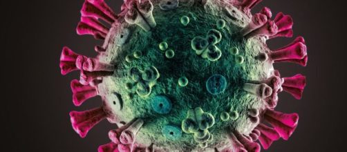 Fot&oacute;grafo digital del coronavirus