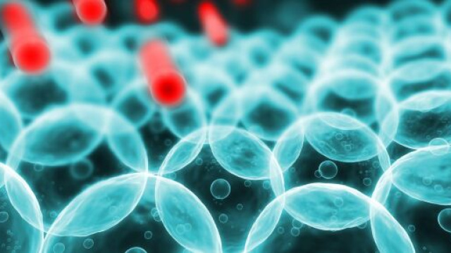 Radicali liberi, possiamo combatterli con una dieta corretta e con potenti alleati