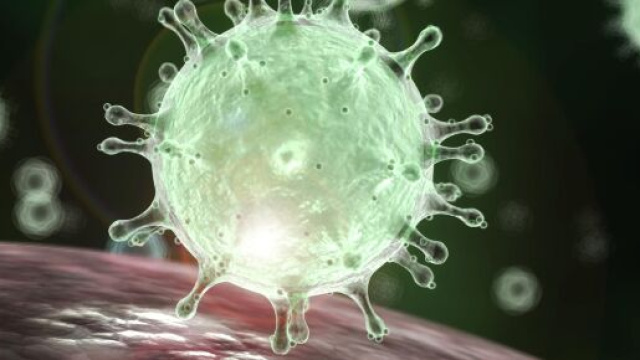 Coronavirus, peggiora il bilancio in Italia: 219 i contagiati, cinque i morti.