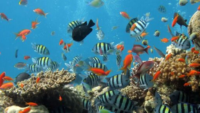 L'oroscopo di marzo: amore e lavoro per l'Acquario.