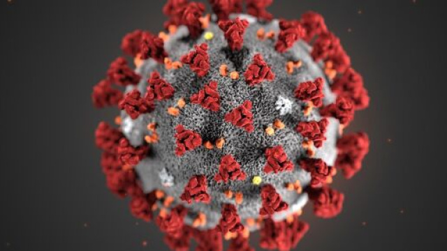 Coronavirus, primo caso confermato al sud Italia: si tratta di una turista bergamasca a Palermo.