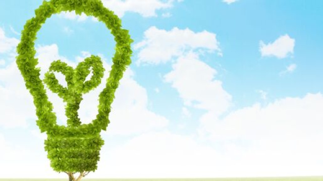 Motori di ricerca ecologici che tutelano l'ambiente