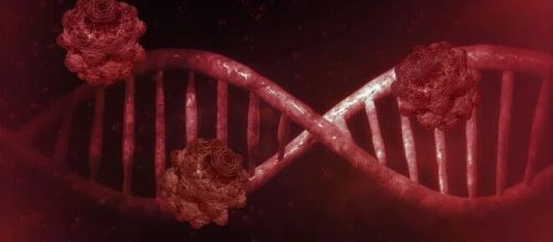 Coronavirus-19/TheDigitalArtist/Pixabay.com