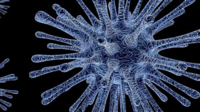 Coronavirus, isolato il ceppo italiano all'Ospedale Sacco - viagginews.com