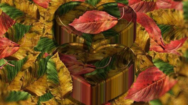 Oroscopo 28 febbraio: Acquario peperino, Pesci romantici