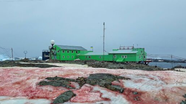 Neve rossa in Antartide, un mistero svelato