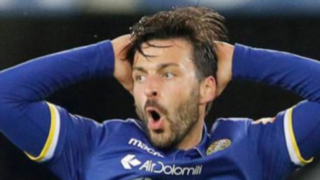 Sampdoria-Verona, probabili formazioni: Di Carmine e Stepinski si contendono una maglia.