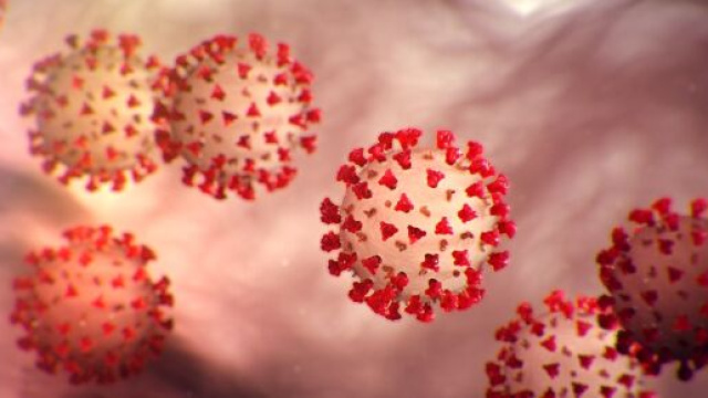 Un gruppo di scienziati di diverse discipline lavorano assieme per giocare d'anticipo sul contagio.