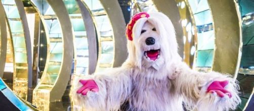 &ldquo;TV Colosso&rdquo; foi resgatada em programa e f&atilde;s falaram em retorno. (Divulga&ccedil;&atilde;o / Globo)