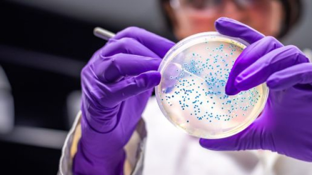 Le ricercatrici italiane che hanno isolato il coronavirus.