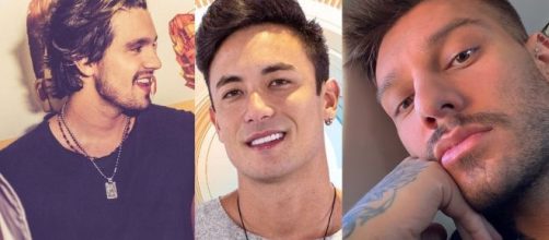 'BBB20': Diversos famosos demonstraram apoio a Caon. (Reprodu&ccedil;&atilde;o/Instagram/@luansantana/Globo/Instagram/@lucaslucco).