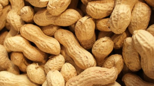 Palforzia &egrave; il primo trattamento terapeutico approvato per l'allergia alle arachidi.