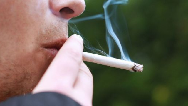 Se si smette di fumare i polmoni guariscono.