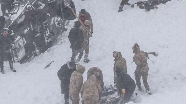 Diversi volontari stanno aiutando nelle ricerche.