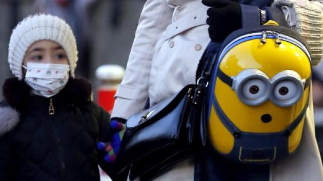 Coronavirus, chiusura scuole: in Piemonte si rientra il 4 marzo, tre giorni di stop a Foggia.