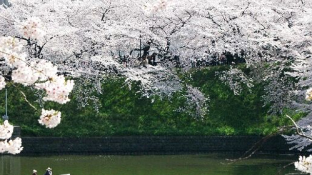 Oroscopo 11 marzo: Toro irritato, periodo instabile per i Pesci