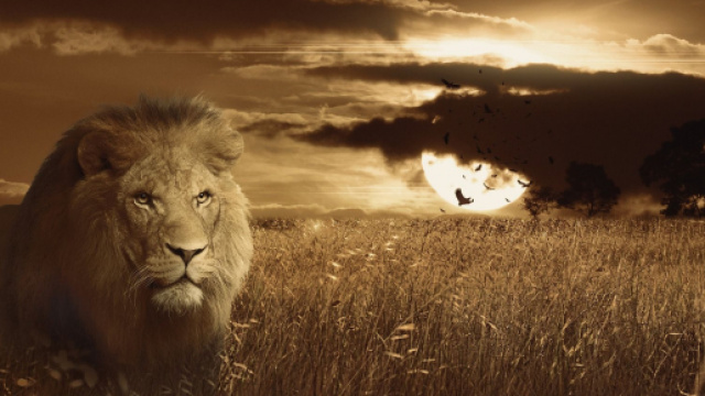 Oroscopo, classifica del 12 marzo: Cancro trasgressivo, Leone zelante.