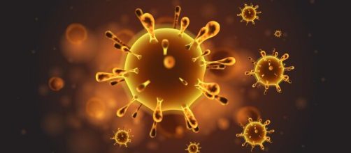 Coronavirus en Portugal hoy: 61 casos de Covid-19 en el pa&iacute;s luso - elplural.com