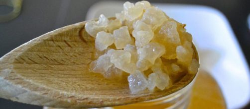 Los n&oacute;dulos de k&eacute;fir de agua. Nunca deben tocar metales. (Foto de Simon A. Eugster/Wiki Common)